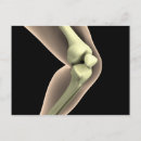 Recherche de genoux cartes postales Anatomie humaine