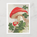 Zoek naar paddestoelen posters briefkaarten Botanisch