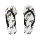 Recherche de cervids Cerf
