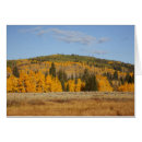 Zoek naar lambert briefkaarten Kleur