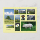 Zoek naar zwitserland briefkaarten Fotografie