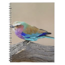 Recherche de grand observé papeterie Oiseaux autour du monde