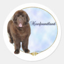 Recherche de chien de terre neuve autocollants Dog