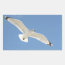 Recherche de oiseaux en vol autocollants Ciel bleu