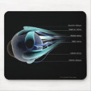 Recherche de oeil humain tapis souris Horizontal