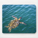 Recherche de tortue verte tapis souris Île