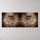 Zoek naar vintage flower posters For her