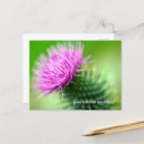 Recherche de chardon écossais cartes postales Floral