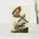 Recherche de faucon vœux cartes Illustration