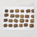 Recherche de bébé tortue cartes postales Animal