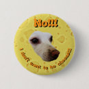 Recherche de humour animal badges Idiot