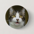 Zoek naar katten afbeeldingen buttons Foto's
