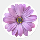 Recherche de baptême blanc autocollants Floral