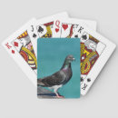 Zoek naar rotsduif Vogel