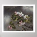 Recherche de heade martin johnson posters Colibri