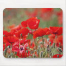 Recherche de coquelicots tapis souris Pavot