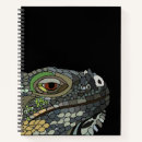 Recherche de iguane carnets Faune