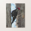 Recherche de pic puzzles Nature