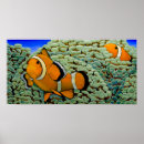 Recherche de peintures clown posters Clowns