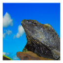 Recherche de lézard posters Animal