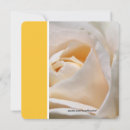 Recherche de belles fleurs roses invitations Blanc