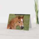 Zoek naar welsh pony kaarten Dier