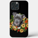 Zoek naar pitbulls iphone hoesjes Pitbull lover