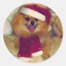 Recherche de chien de noël autocollants Drôle