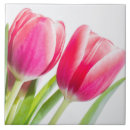 Recherche de tulipe rose carreaux Jardin