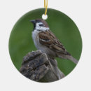 Recherche de moineau ornements Mignon
