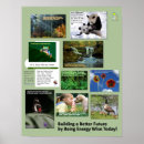 Recherche de conservation posters Éducation
