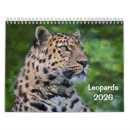 Recherche de leopard calendriers Léopard