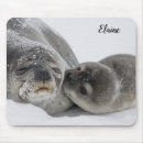 Recherche de bébé phoque tapis souris Mignon