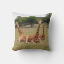 Recherche de fossiles coussins Nature
