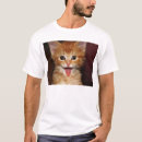 Recherche de minou orange Mignon