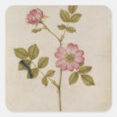 Recherche de 88 autocollants Moyne