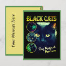 Zoek naar grappige zwarte kat briefkaarten Voor kattenliefhebber