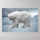 Recherche de blanc neige posters Faune