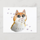 Recherche de joli chat cartes postales Coloré