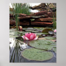 Zoek naar waterlelies fotografie Bloem