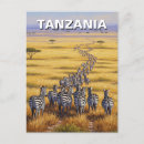 Zoek naar tanzania briefkaarten Safari