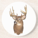 Recherche de cerfs communs de queue maison deco Andouillers