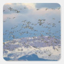 Recherche de migration autocollants Oiseau