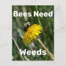 Recherche de mauvaises herbes cartes postales Nature