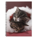 Recherche de chaton carnets Animaux familiers