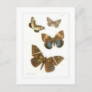 Recherche de zoologique cartes postales Animal