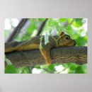 Recherche de écrous posters Arbre