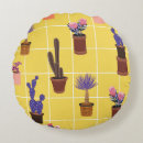 Recherche de cactus mignon coussins Botanique