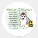 Recherche de alaskan malamute autocollants Animaux domestiques