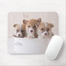 Recherche de corgi tapis souris Pembroke welsh corgi